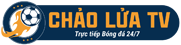 tử vi đinh mão 2023