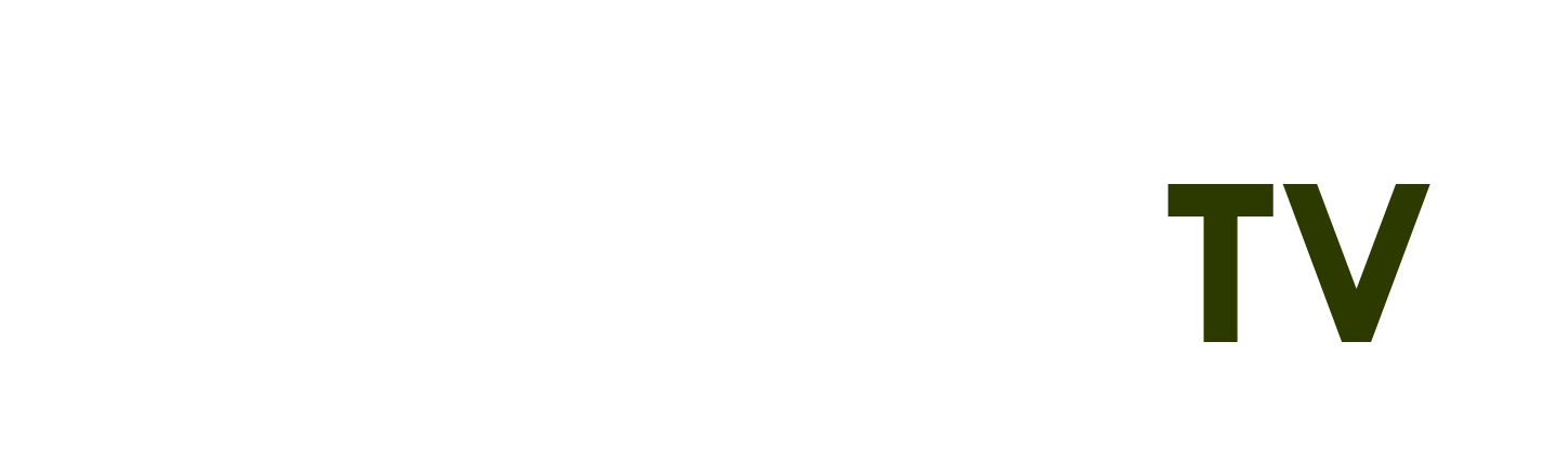 tử vi đinh mão 2023